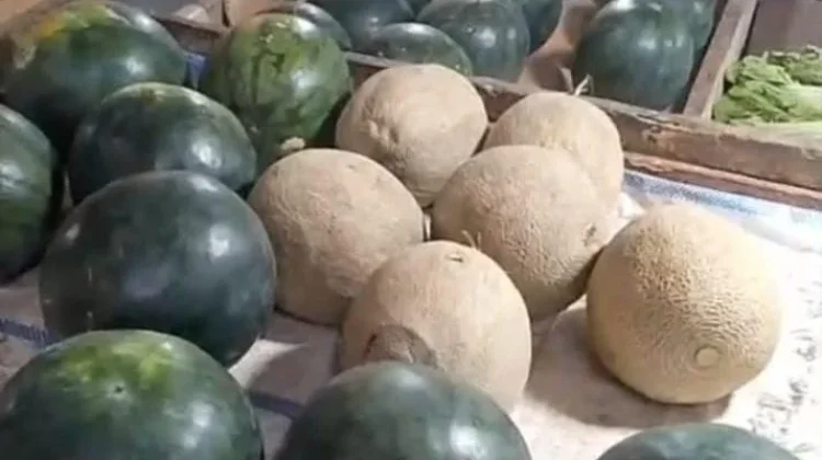 Harga Semangka Mengalami Penurunan di Pasar Lirung