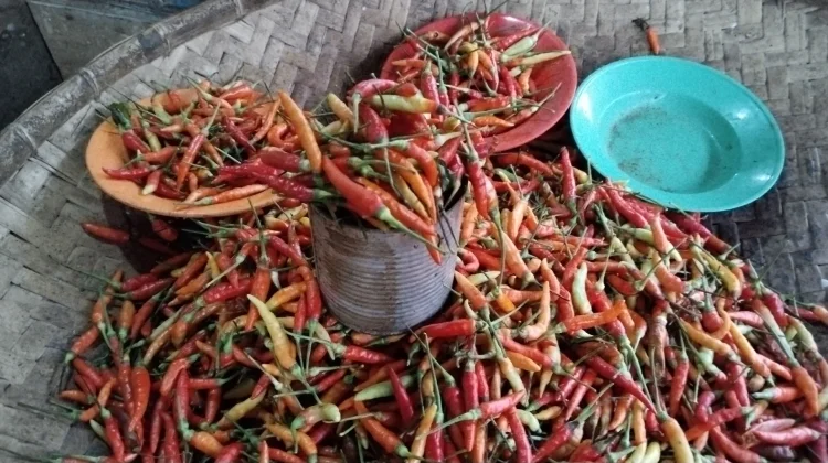 Harga Cabai di Pasar Melonguane Turun Jadi Rp130 Ribu
