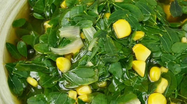 Manfaat Sayur Daun Kelor yang Sudah Dimasak bagi Kesehatan