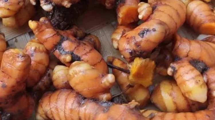 Ternyata, Kunyit Bisa Dibuat Minuman Herbal untuk Kesehatan