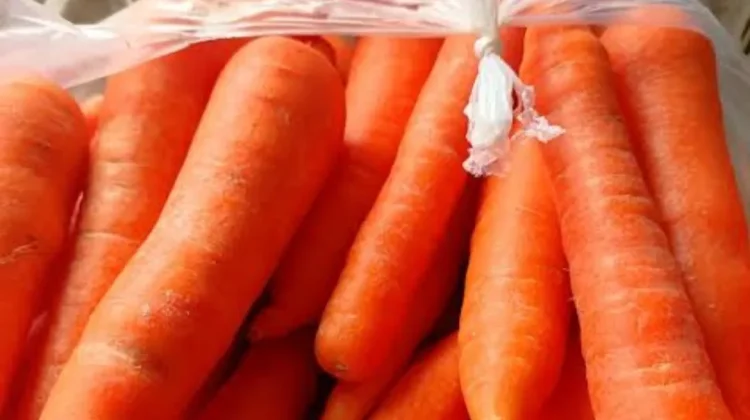 Kandungan Vitamin dan Antioksidan Sayur Wortel Berdampak Baik untuk Kesehatan