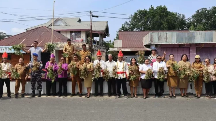 Masyarakat Adat Melonguane Panen Kacang Tanah demi Ketahanan Pangan