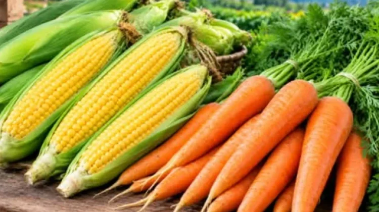 Kemarau Panjang Picu Kenaikan Harga Wortel dan Jagung di Pasar Melonguane