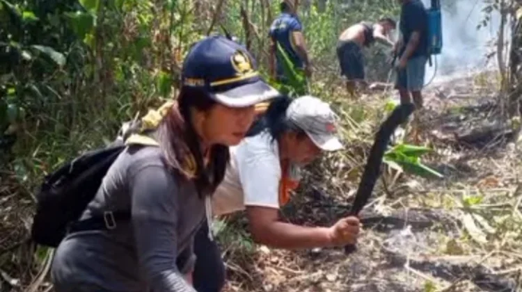 Warga Akas Bahu Membahu Padamkan Kebakaran Lahan Perkebunan