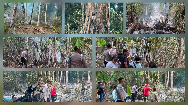 Lahan Pertanian 5 Hektare di Talaud Ludes Terbakar, Kerugian Ratusan Juta