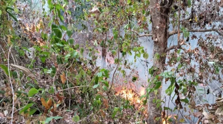 Kebakaran Hanguskan 10 Hektare Lahan di Desa Daran Talaud