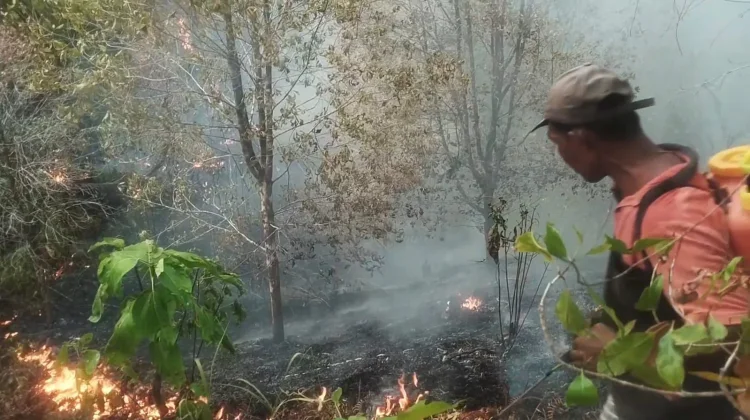 Kebakaran Lahan Meluas di Gemeh, Warga Padamkan Api dengan Peralatan Seadanya