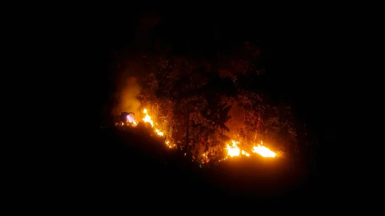 Kebakaran Lahan Meluas di Gemeh, Warga Padamkan Api dengan Peralatan Seadanya