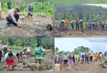 Kapolsek Melonguane Hadiri Penanaman Jagung Poktan Sipat Tule