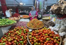Terkini, Informasi Harga Pangan dan Bapok di Manado