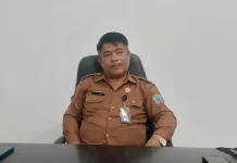 Jumlah Penerima TPG di Talaud Fluktuatif