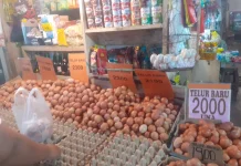 Terkini, Informasi Harga Pangan dan Bapok di Manado