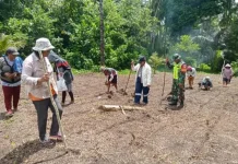Babinsa Desa Marampit Timur Bantu Warga Tanam Padi