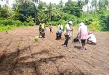 Babinsa dan Masyarakat Marampit Timur Tanam Padi Ladang
