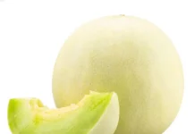 Buah Melon Memiliki Manfaat Luar Biasa