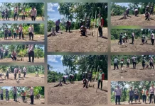 Polsek Melonguane Tanam Jagung Dukung Swasembada Pangan 2026