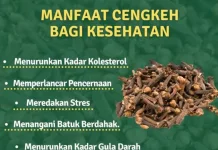 Kenali Manfaat Cengkih Bagi Kesehatan