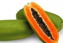 Khasiat Pepaya untuk Kesehatan