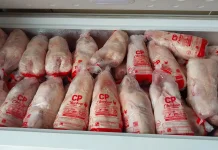 Daging Ayam Broiler Naik jelang Idulfitri