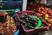 Harga Cabai di Pasar Melonguane Tembus 100 Ribu Rupiah per Kilogram