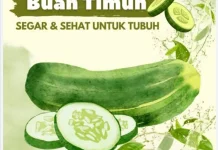 Kenali Manfaat Timun untuk Kesehatan Tubuh