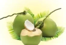 Manfaat Air Kelapa Hijau