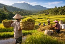 NTP Sulut Naik Februari 2026, Daya Beli Meningkat