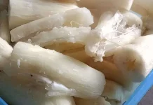 Manfaat Ubi Kayu Rebus