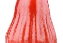 Manfaat Jambu Air untuk Kesehatan