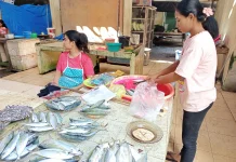 Harga Ikan Segar Naik saat Pembeli Sepi
