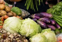 Harga Sayur Melonguane Naik karena Cepat Rusak