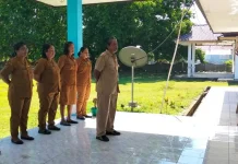 Camat Damau Ingatkan Disiplin dan Tanggung Jawab Kerja