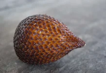 Manfaat Kulit Salak untuk Kesehatan
