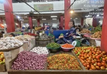 Terkini, Informasi Harga Pangan dan Bapok di Manado