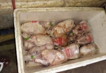 Harga Daging Ayam Naik di Talaud