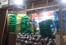 Terkini, Informasi Harga Pangan dan Bapok di Manado