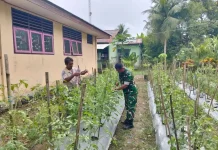 Koramil Essang Dorong Warga Manfaatkan Lahan Pekarangan Desa