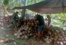 TNI Percepat Pembangunan KDMP di Pulutan Utara