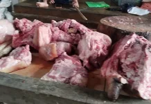 Harga Pakan Ternak Naik Pengaruhi Penjualan Daging Babi