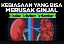 Waspada terhadap Ginjal Rusak, Kenali Penyebab dan Cara Pencegahannya