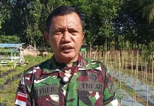 Talaud Kembangkan Pertanian Tanaman Hortikultura Dorong Ekonomi Petani