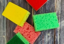 Spons Dapur Bekas Mengandung Bakteri yang berbahaya