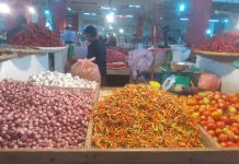 Terkini, Informasi Harga Pangan dan Kebutuhan Bahan Pokok