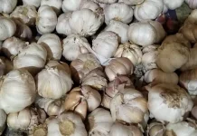 Harga Bawang Putih di Pasar Melonguane Naik