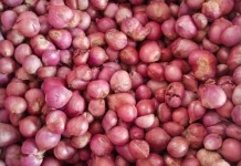 Harga Bawang Merah di Pasar Lirung Turun