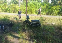 Pemerintah Kabaruan Lakukan Pembersihan Bahu Jalan Desa
