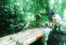 Babinsa dan Masyarakat Perbaiki Jembatan Rusak