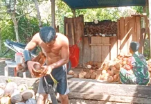 Babinsa Kabaruan Bantu Petani Kelolah Hasil Pertanian