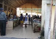 Cuaca Ekstrem, Harga Ikan Meroket