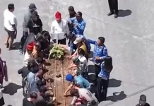 Masyarakat Adat Hijaukan Median Jalan Melonguane lewat Penanaman Kacang